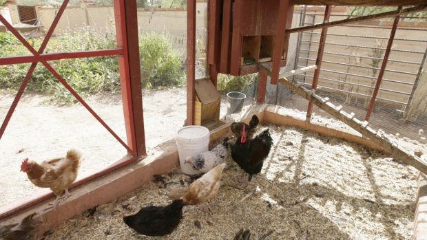 County supervisors ease land use restrictions near Pima County Fairgrounds